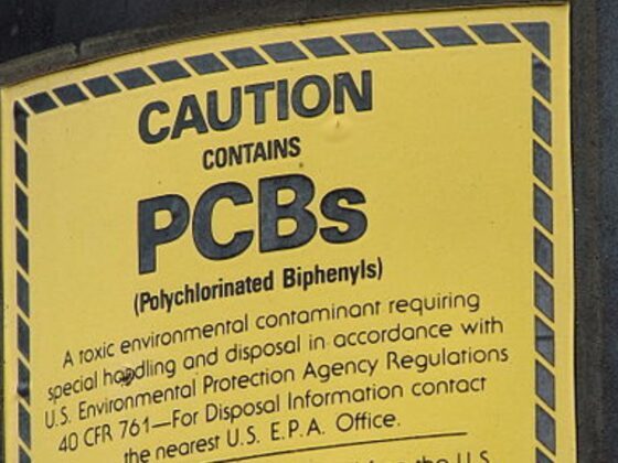 PCBs o bifenilos policlorados