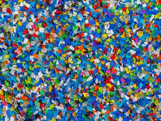 reglamento microplásticos