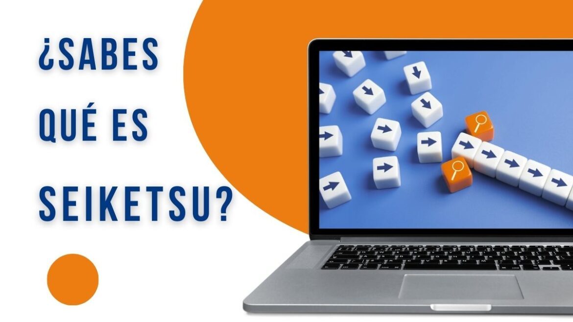 qué es seiketsu tecnología japonesa