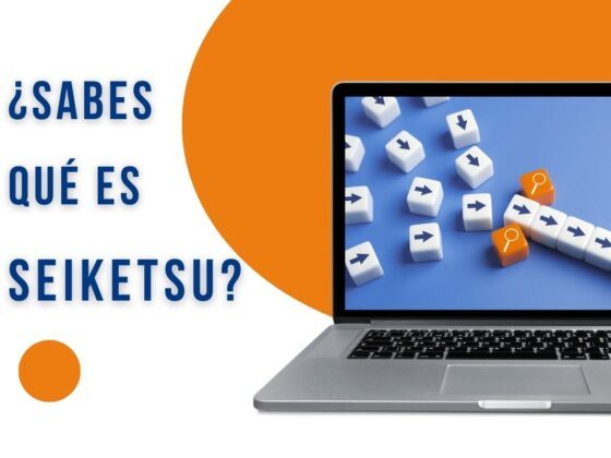 qué es seiketsu tecnología japonesa