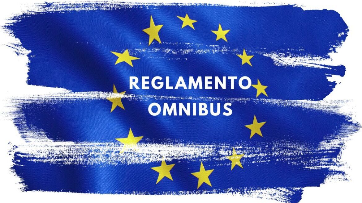 Reglamento Omnibus