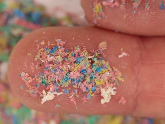 proposta regolamento microplastiche