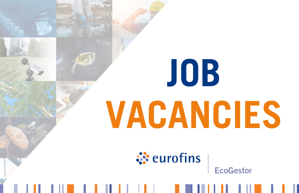 job vacancies