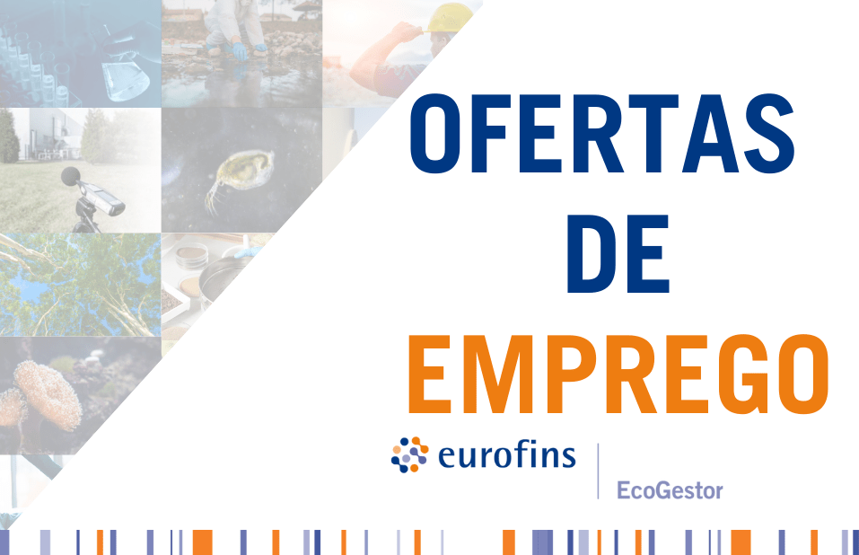 ofertas de emprego