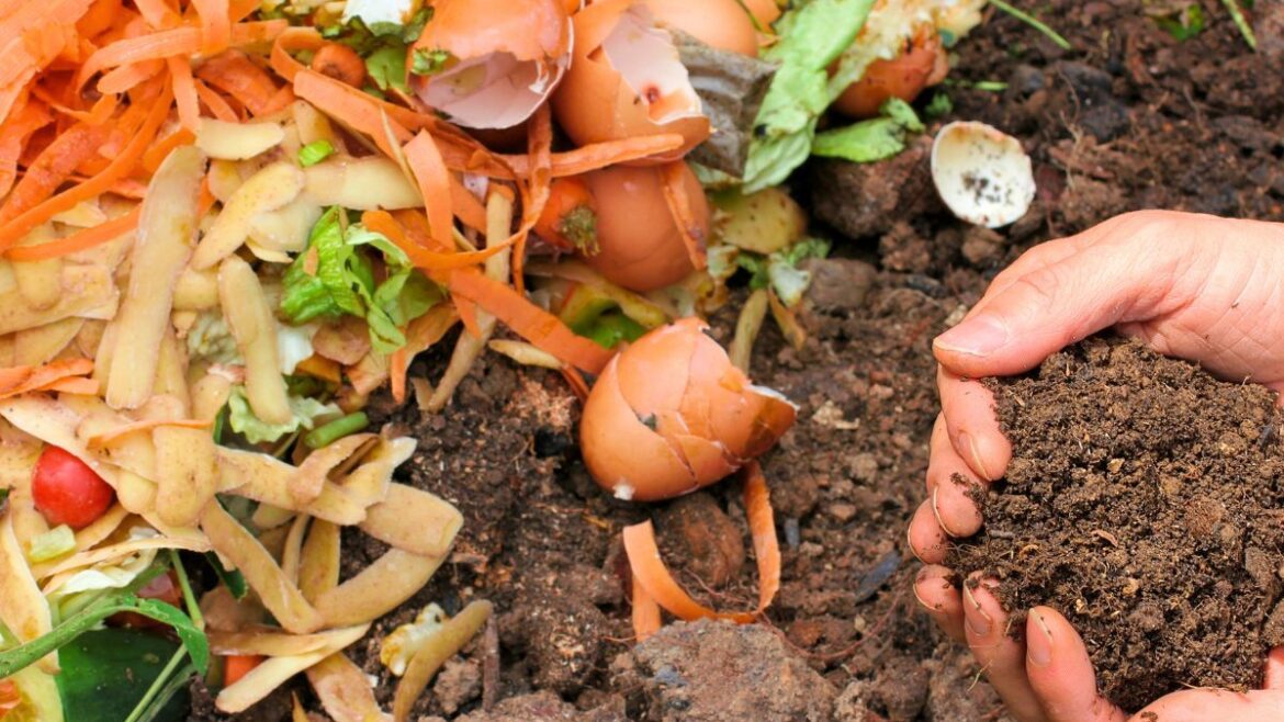 ¿Sabías que el residuo cero va mucho más allá del reciclaje