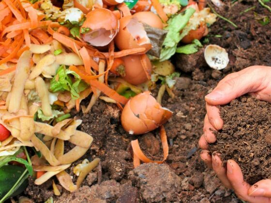 ¿Sabías que el residuo cero va mucho más allá del reciclaje