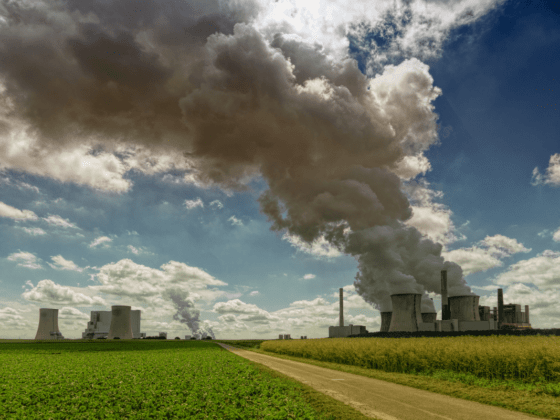 enviromental regulations