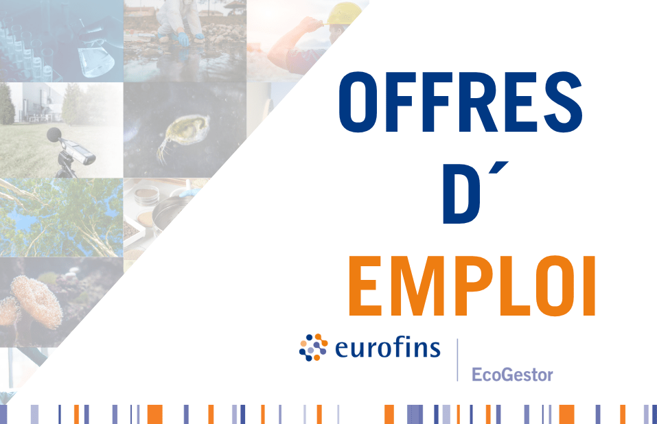 offres d'emploi