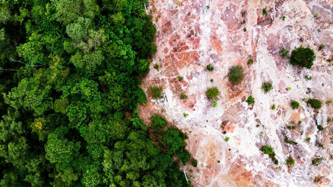 Ley de Deforestación