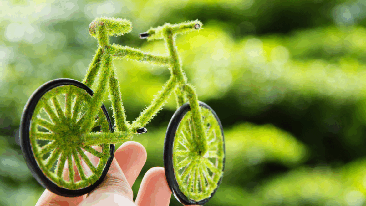 plan de movilidad sostenible