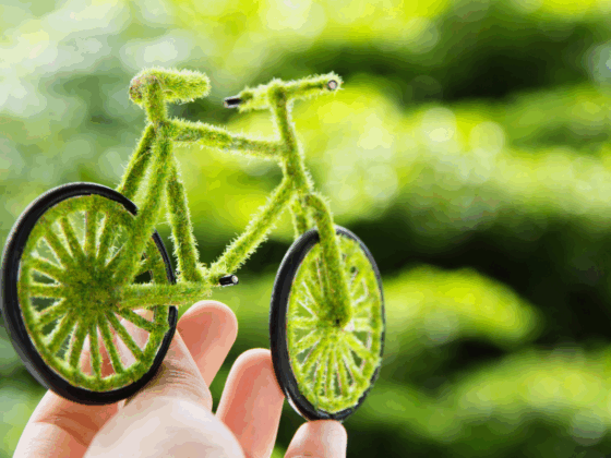 plan de movilidad sostenible