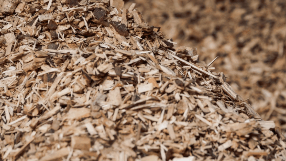 orden 202 2026 subproductos