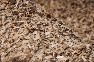 orden 202 2026 subproductos