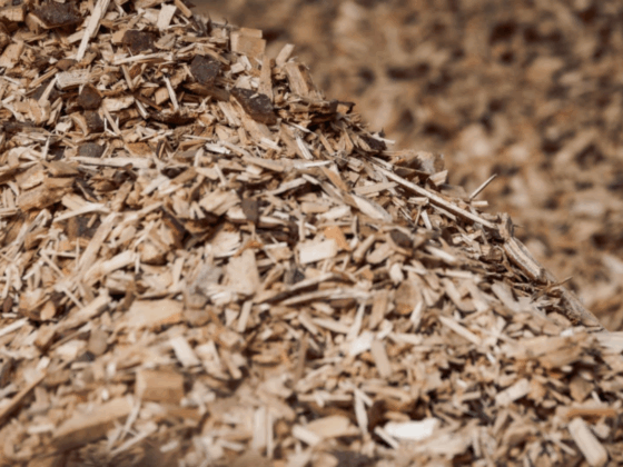 orden 202 2026 subproductos