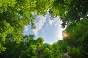 cómo se compone la legislación medioambiental en Chile