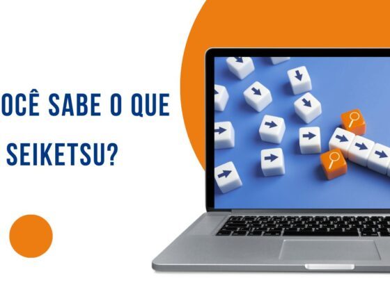 que é o Seiketsu